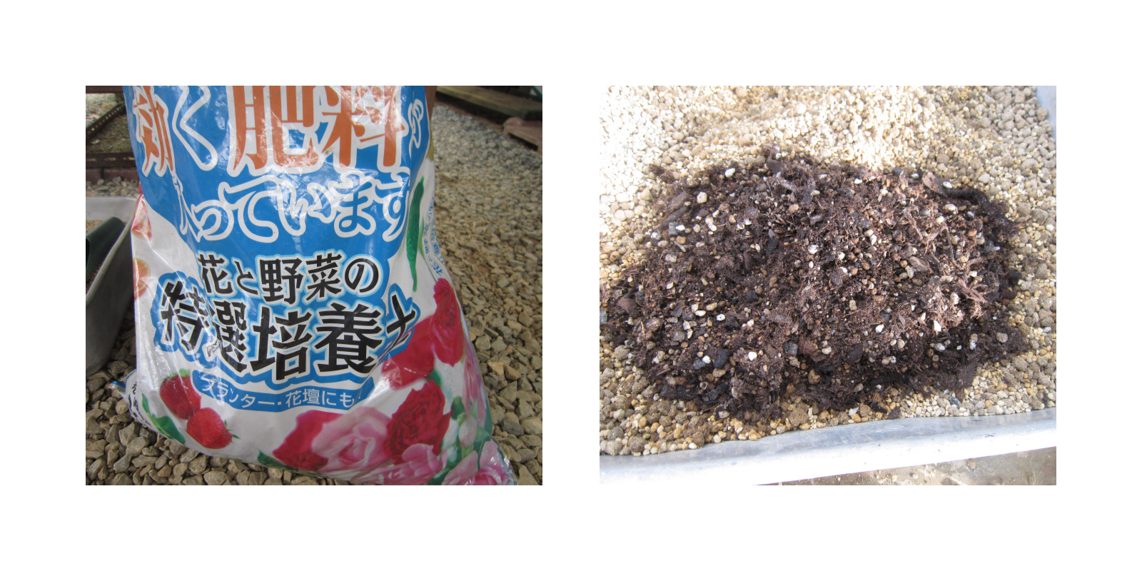 多肉植物用の土に培養土をプラスします